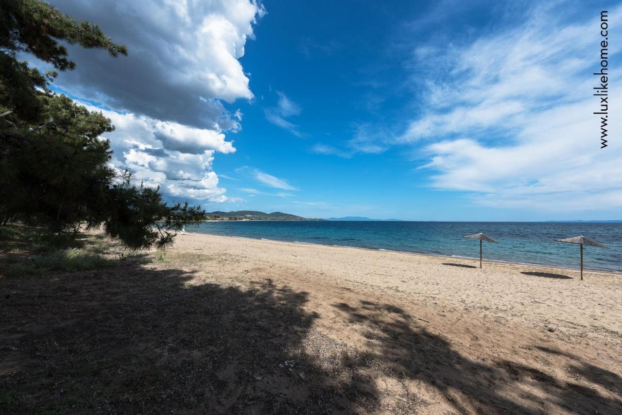 #Luxlikehome - Mediterranee Beachfront Summer House Kalyves Polygyrou المظهر الخارجي الصورة