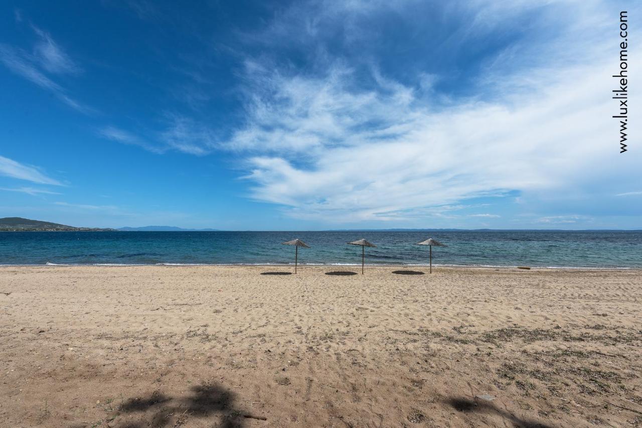 #Luxlikehome - Mediterranee Beachfront Summer House Kalyves Polygyrou المظهر الخارجي الصورة